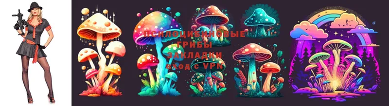 Галлюциногенные грибы Cubensis  omg tor  Каспийск 